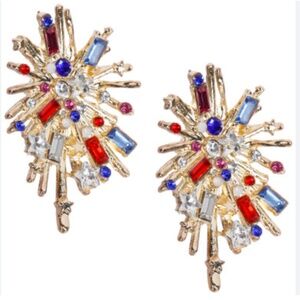 FIREWORKS Statement Earrings USA 4th of July